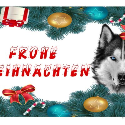 verspielte Weihnachtstasse mit Husky Motiv in rot oder grün