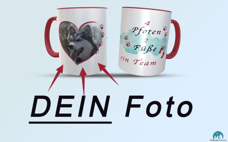 HerzPfote mit foto